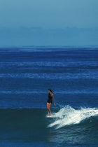 La Surfsuit